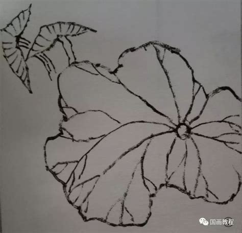 水墨荷花畫法|【国画教程】水墨荷花、荷叶的画法